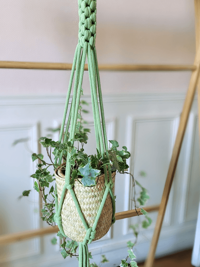 Lot suspension en macramé coloré pour plante + panier en feuilles de palmier