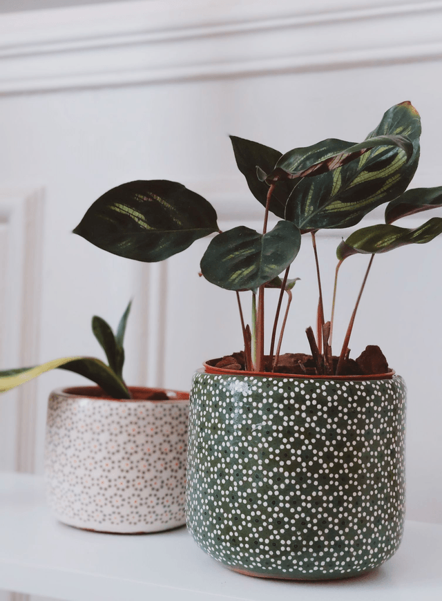 Petit Pot en Argile Coloré - Fait à la Main - 7 cm