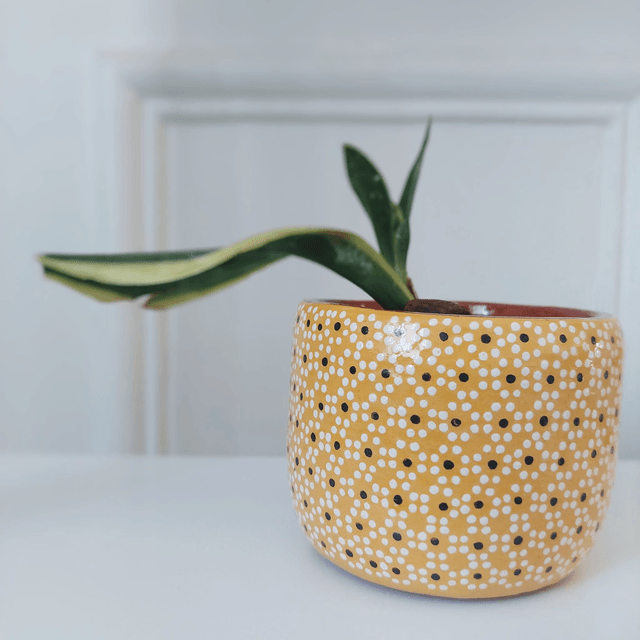 Petit Pot en Argile Coloré - Fait à la Main - 7 cm