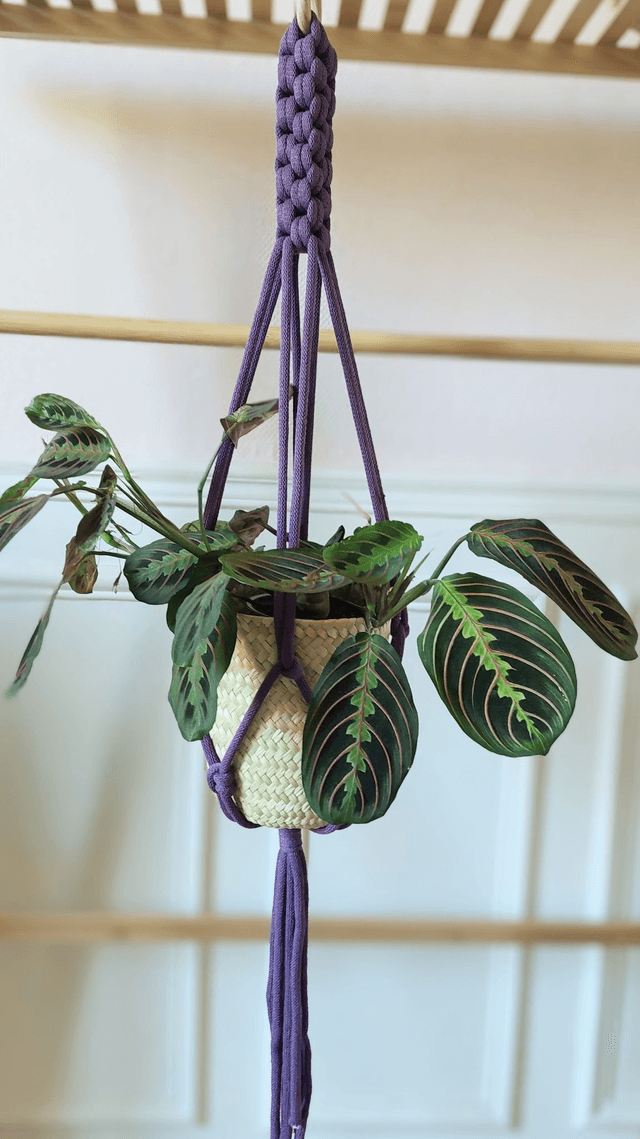 Lot suspension en macramé coloré pour plante + panier en feuilles de palmier